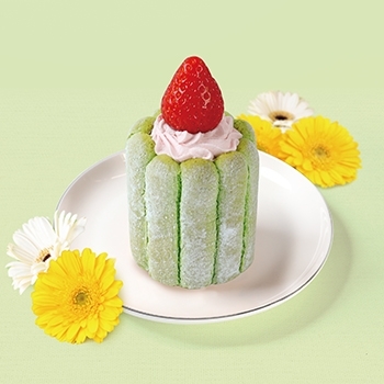 ４月のショートケーキ12の花物語